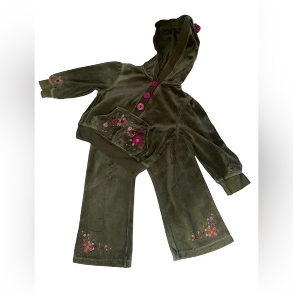 Gymboree y2k from fall collection of 2006Floral Embroidered Hoodie and Pants Set - Picture 1 of 3